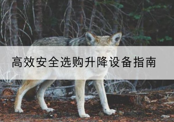 西和升降货梯厂家推荐-*安全选购升降设备指南