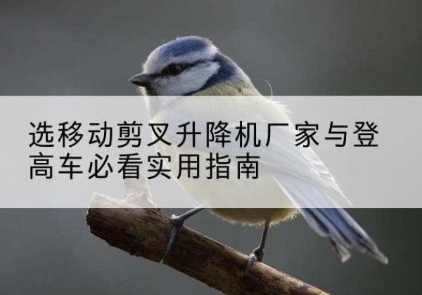 西和电动升降机厂家-选移动剪叉升降机厂家与登高车必看实用指南