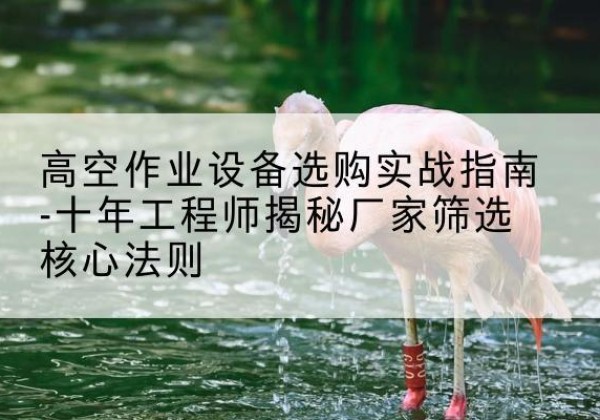 西和剪叉式升降机厂家-高空作业设备选购实战指南-十年工程师揭秘厂家筛选核心法则